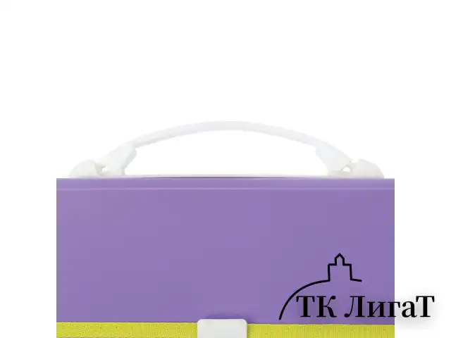 Папка-портфель пластиковая BRAUBERG "JOY", А4 (330х245х35 мм), 13 отделений, с окантовкой, фиолетовая, 227977