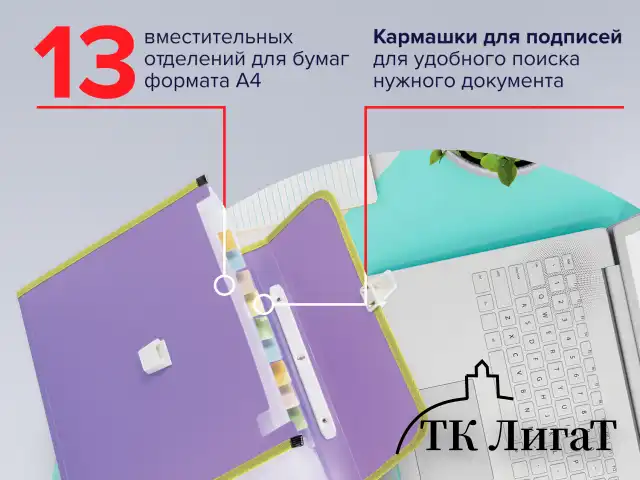 Папка-портфель пластиковая BRAUBERG "JOY", А4 (330х245х35 мм), 13 отделений, с окантовкой, фиолетовая, 227977