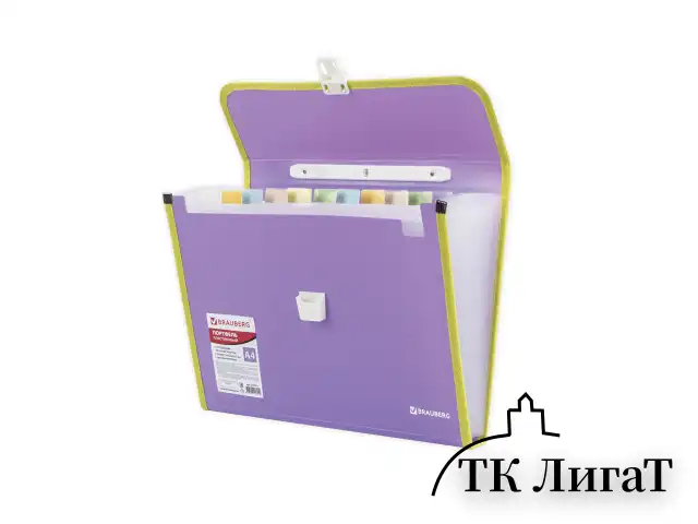Папка-портфель пластиковая BRAUBERG "JOY", А4 (330х245х35 мм), 13 отделений, с окантовкой, фиолетовая, 227977