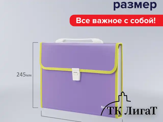 Папка-портфель пластиковая BRAUBERG "JOY", А4 (330х245х35 мм), 13 отделений, с окантовкой, фиолетовая, 227977