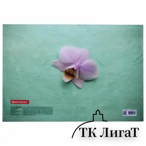 Папка-конверт с кнопкой BRAUBERG "FLOWER", А4, 160 мкм, до 100 листов, цветная печать, 228031