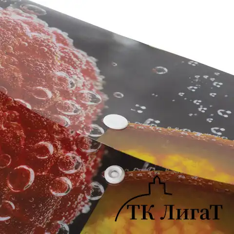 Папка-конверт с кнопкой BRAUBERG "FRESH ZONE", А4, 160 мкм, до 100 листов, цветная печать, 228034