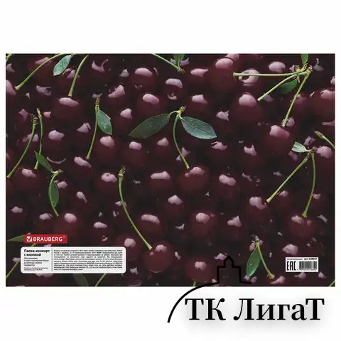 Папка-конверт с кнопкой BRAUBERG "CHERRY", А4, 160 мкм, до 100 листов, цветная печать, 228037