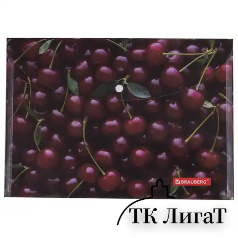 Папка-конверт с кнопкой BRAUBERG "CHERRY", А4, 160 мкм, до 100 листов, цветная печать, 228037