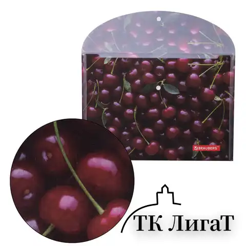 Папка-конверт с кнопкой BRAUBERG "CHERRY", А4, 160 мкм, до 100 листов, цветная печать, 228037
