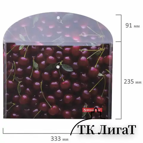 Папка-конверт с кнопкой BRAUBERG "CHERRY", А4, 160 мкм, до 100 листов, цветная печать, 228037