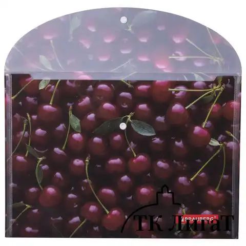 Папка-конверт с кнопкой BRAUBERG "CHERRY", А4, 160 мкм, до 100 листов, цветная печать, 228037