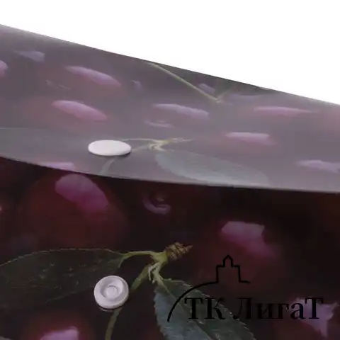 Папка-конверт с кнопкой BRAUBERG "CHERRY", А4, 160 мкм, до 100 листов, цветная печать, 228037