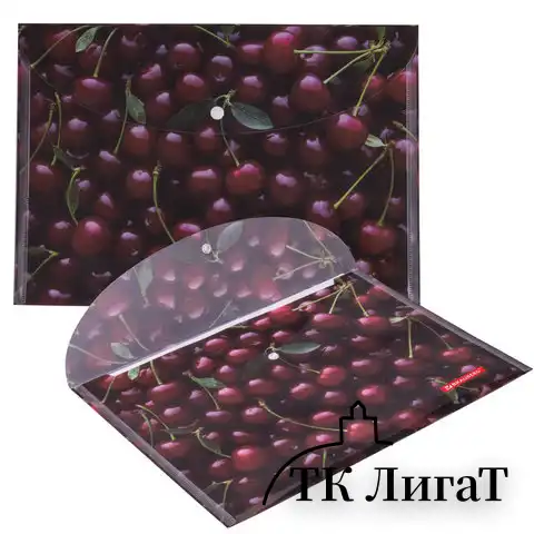 Папка-конверт с кнопкой BRAUBERG "CHERRY", А4, 160 мкм, до 100 листов, цветная печать, 228037