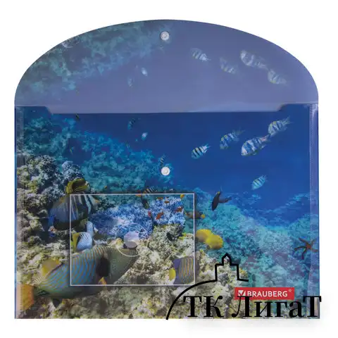 Папка-конверт с кнопкой BRAUBERG "SEA WORLD", А4, 160 мкм, до 100 листов, цветная печать, 228041