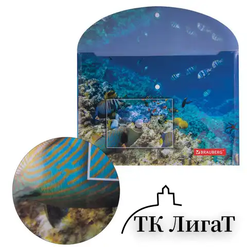 Папка-конверт с кнопкой BRAUBERG "SEA WORLD", А4, 160 мкм, до 100 листов, цветная печать, 228041