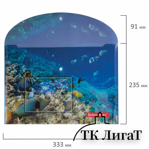 Папка-конверт с кнопкой BRAUBERG "SEA WORLD", А4, 160 мкм, до 100 листов, цветная печать, 228041