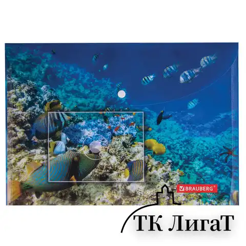Папка-конверт с кнопкой BRAUBERG "SEA WORLD", А4, 160 мкм, до 100 листов, цветная печать, 228041