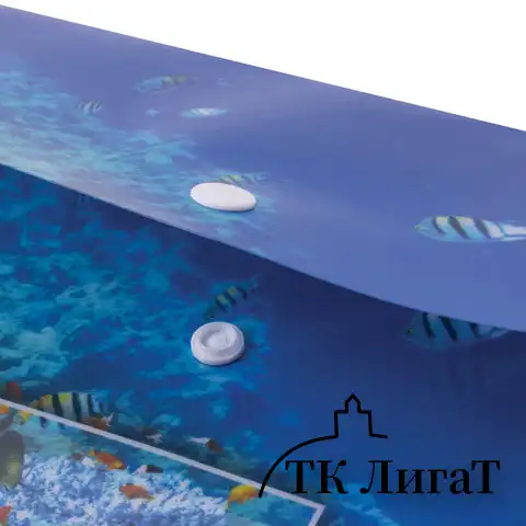 Папка-конверт с кнопкой BRAUBERG "SEA WORLD", А4, 160 мкм, до 100 листов, цветная печать, 228041