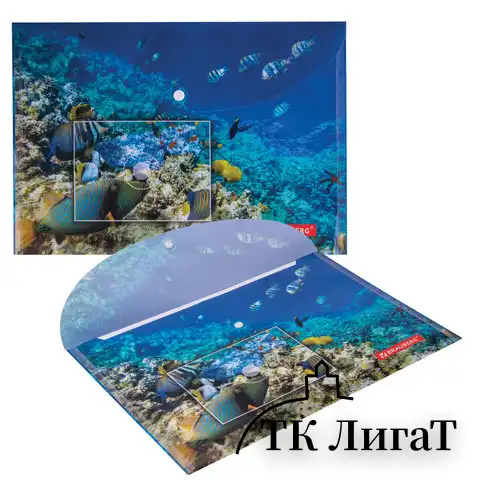 Папка-конверт с кнопкой BRAUBERG "SEA WORLD", А4, 160 мкм, до 100 листов, цветная печать, 228041