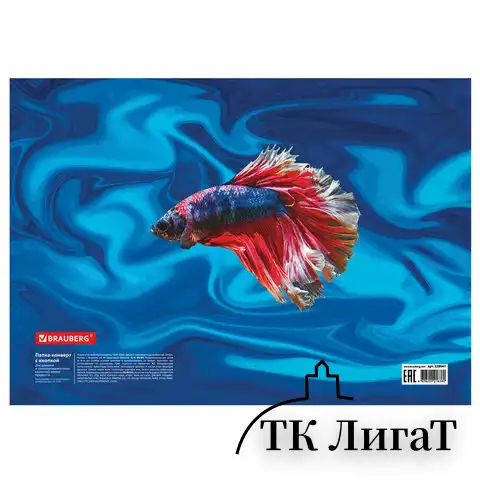 Папка-конверт с кнопкой BRAUBERG "SEA WORLD", А4, 160 мкм, до 100 листов, цветная печать, 228041