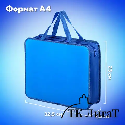 Папка на молнии с ручками ПИФАГОР, А4, пластик, молния сверху, однотонная синяя, 228233