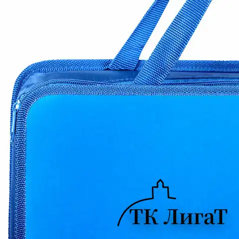 Папка на молнии с ручками ПИФАГОР, А4, пластик, молния сверху, однотонная синяя, 228233
