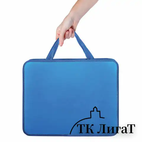 Папка на молнии с ручками ПИФАГОР, А4, пластик, молния сверху, однотонная синяя, 228233