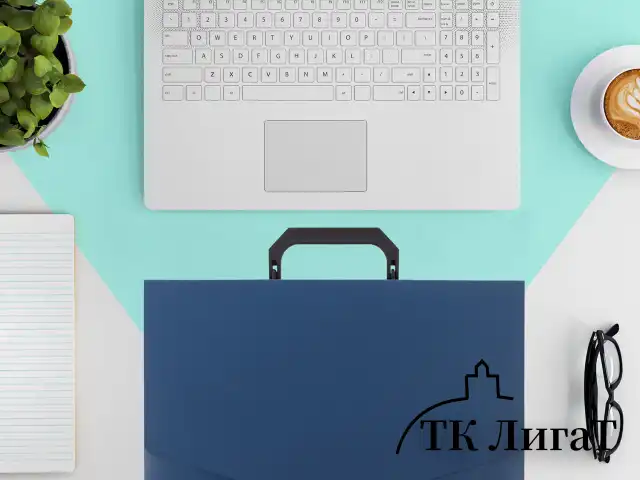 Портфель пластиковый STAFF А4 (320х225х36 мм), без отделений, синий, 229240