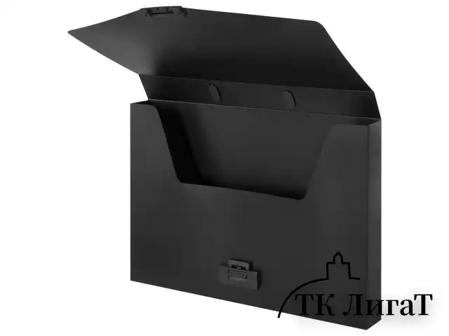 Портфель пластиковый STAFF А4 (320х225х36 мм), без отделений, черный, 229241