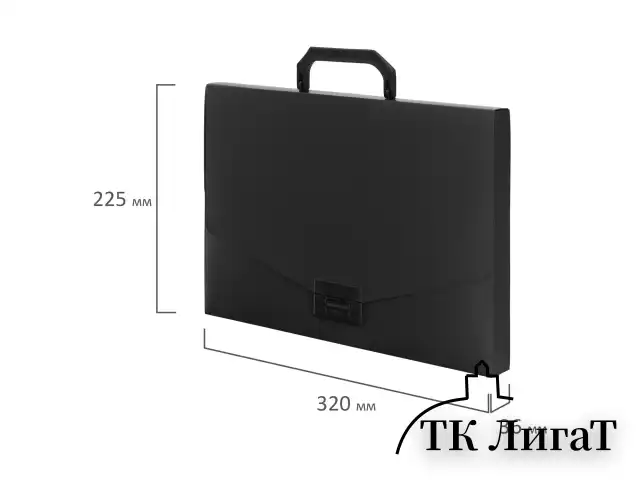 Портфель пластиковый STAFF А4 (320х225х36 мм), без отделений, черный, 229241