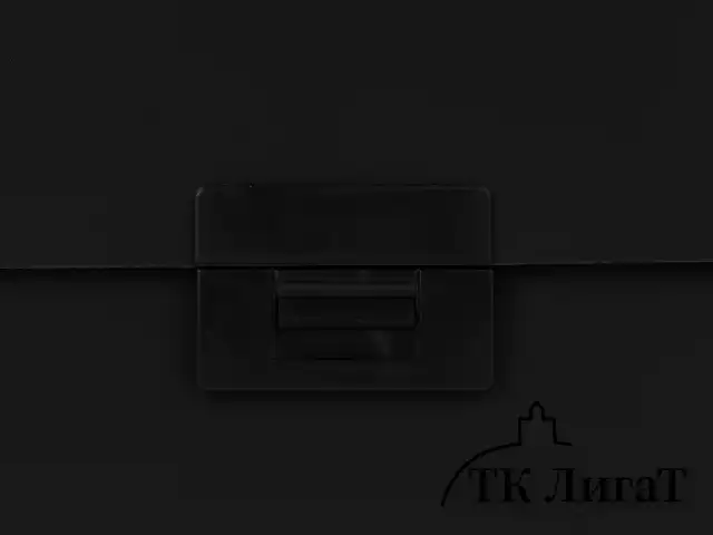 Портфель пластиковый STAFF А4 (330х235х36 мм), 7 отделений, индексные ярлыки, черный, 229243