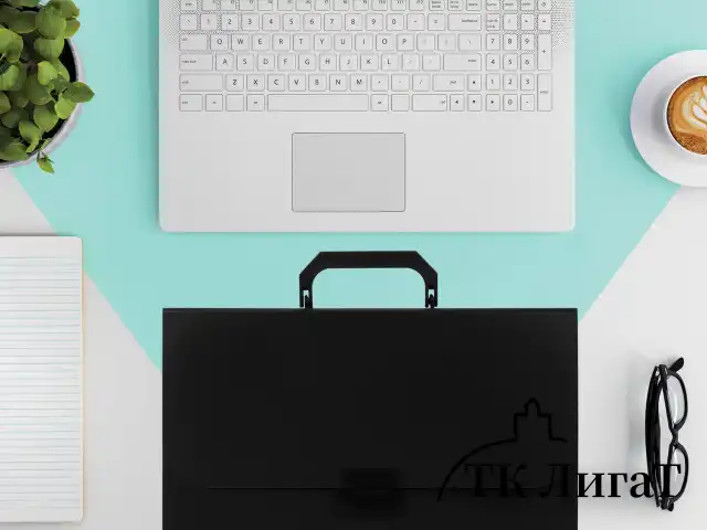 Портфель пластиковый STAFF А4 (330х235х36 мм), 7 отделений, индексные ярлыки, черный, 229243
