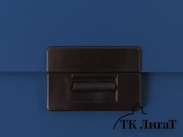 Портфель пластиковый STAFF А4 (330х235х36 мм), 13 отделений, индексные ярлыки, синий, 229244
