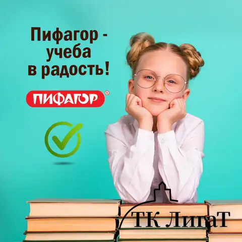 Обложки 210х350 мм, КОМПЛЕКТ 10 шт., для тетрадей и дневников, ПИФАГОР, ПЭ, 90 мкм, 229387