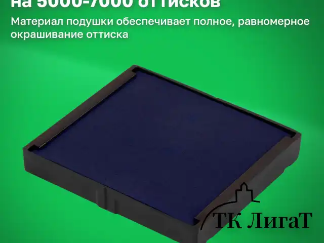Оснастка для печатей, оттиск D=40 мм и штампов 40х40 мм, синий, TRODAT 4924, корпус черный, крышка, подушка, 52899
