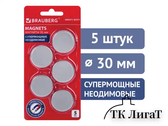Магниты СУПЕРМОЩНЫЕ НЕОДИМОВЫЕ 30 мм, НАБОР 5 шт., серые, BRAUBERG "HEAVY DUTY", 237486