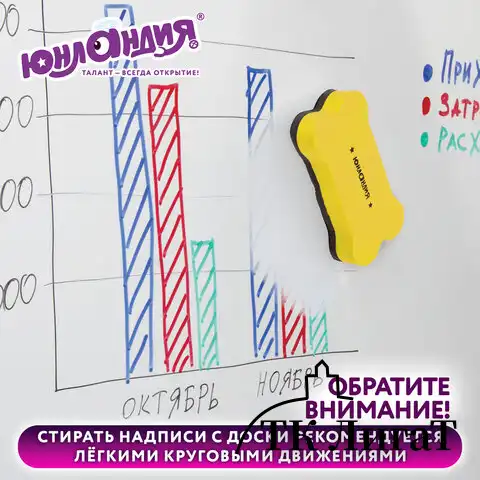 Стиратели магнитные для магнитно-маркерной доски ЮНЛАНДИЯ "Косточка", 55х110 мм, КОМПЛЕКТ 3 ШТ., ассорти, 237503