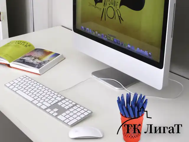 Подставка-органайзер (стакан для ручек) STAFF Basic, ассорти, 237950, 68