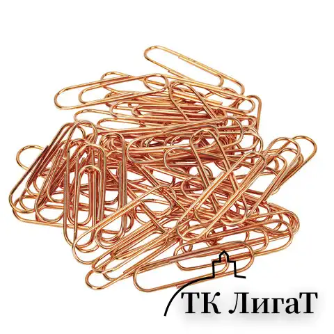 Скрепки BRAUBERG, 28 мм, омедненные, 100 шт., в картонной коробке, 270448