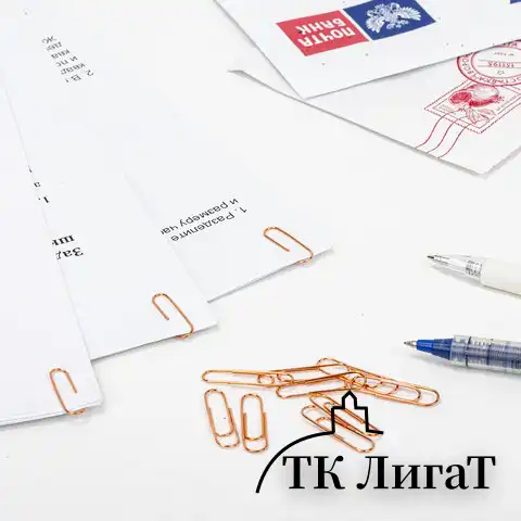 Скрепки BRAUBERG, 28 мм, омедненные, 100 шт., в картонной коробке, 270448