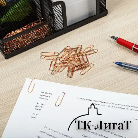 Скрепки BRAUBERG, 28 мм, омедненные, 100 шт., в картонной коробке, 270448