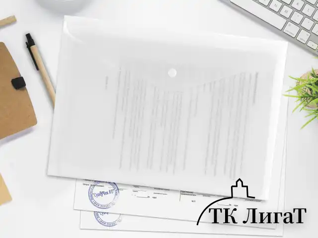 Папка-конверт с кнопкой BRAUBERG А4 до 100 л. матовая прозрачная СВЕРХПРОЧНАЯ 0,18 мм, 270471