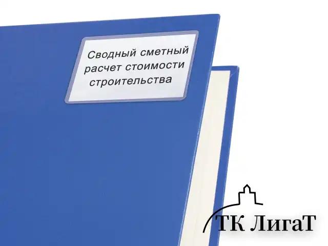 Карманы самоклеящиеся для визиток и персонализации 65х98 мм, КОМПЛЕКТ 10 шт., STAFF, 270569