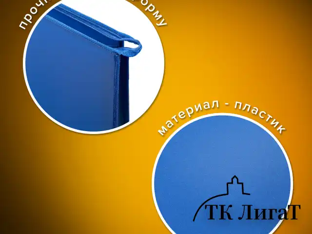 Папка для рисунков и чертежей на молнии с ручками ПИФАГОР А2, 1 отделение, пластик, ручки-шнурок, синяя, 270874