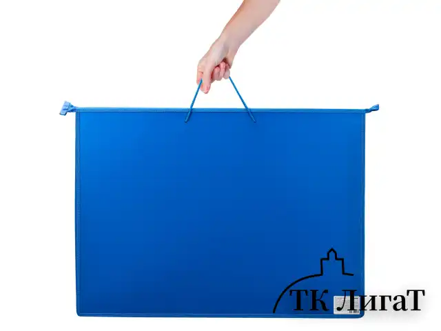 Папка для рисунков и чертежей на молнии с ручками ПИФАГОР А2, 1 отделение, пластик, ручки-шнурок, синяя, 270874