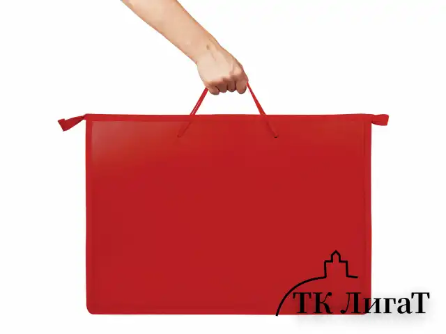 Папка для рисунков и чертежей ПИФАГОР А3, пластик, красная, 271133