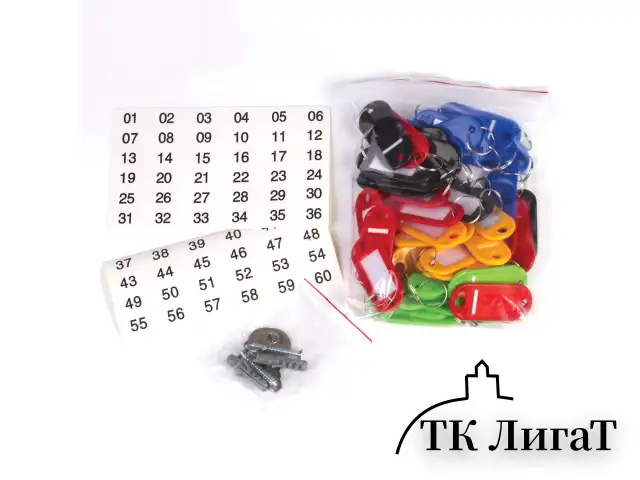 Шкафчик (Ключница) на 48 ключей BRAUBERG, 250х180х80 мм, с замком, + 48 брелоков, серый, 290338