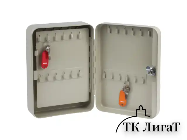 Шкафчик (Ключница) на 48 ключей BRAUBERG, 250х180х80 мм, с замком, + 48 брелоков, серый, 290338