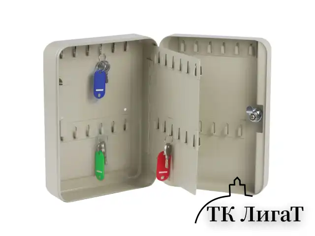 Шкафчик (Ключница) на 48 ключей BRAUBERG, 250х180х80 мм, с замком, + 48 брелоков, серый, 290338