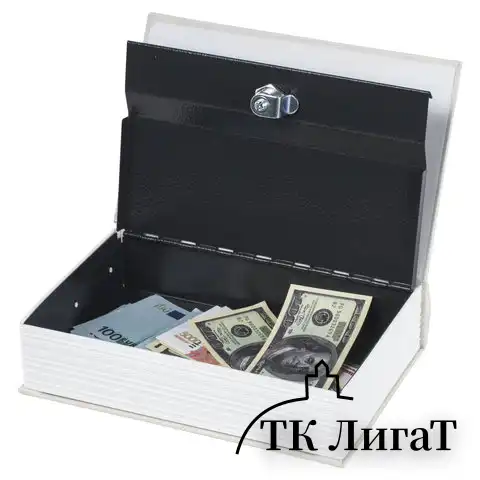 Сейф-книга "ФИНАНСИСТ", 60х170х240 мм, ключевой замок, BRAUBERG, 291057