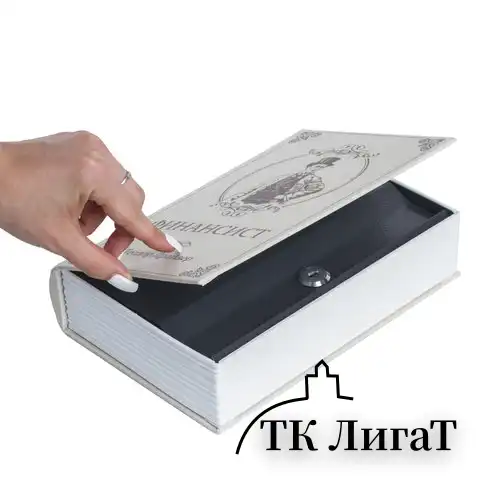 Сейф-книга "ФИНАНСИСТ", 60х170х240 мм, ключевой замок, BRAUBERG, 291057