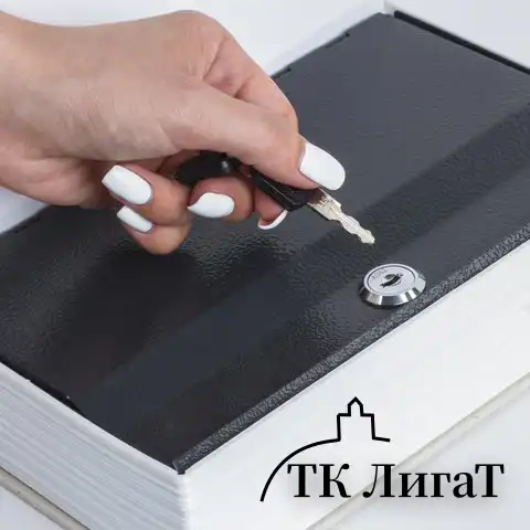 Сейф-книга "ФИНАНСИСТ", 60х170х240 мм, ключевой замок, BRAUBERG, 291057