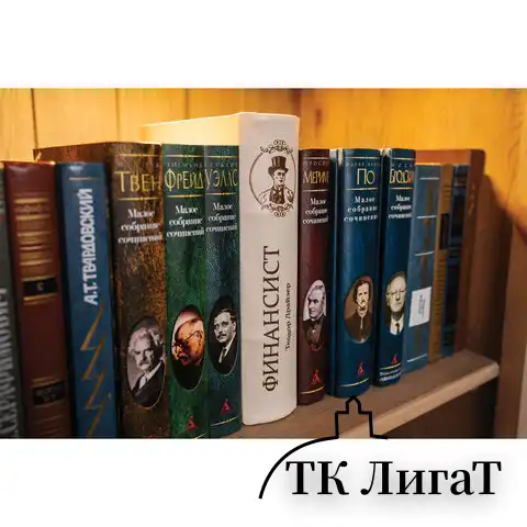 Сейф-книга "ФИНАНСИСТ", 60х170х240 мм, ключевой замок, BRAUBERG, 291057