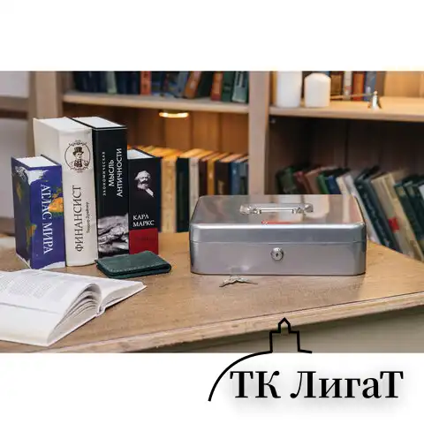 Ящик для денег, ценностей, документов, печатей, 90х240х300 мм, ключевой замок, серебристый, BRAUBERG, 291060